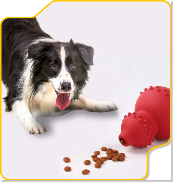 Pet Toys – Interactive, Chew, and Comfort Toys for Dogs & Cats | PlayPalace